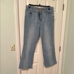 Blue Flare Wide Leg Jeans